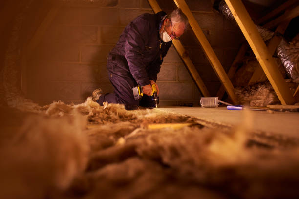 Best Home Insulation Services  in USA